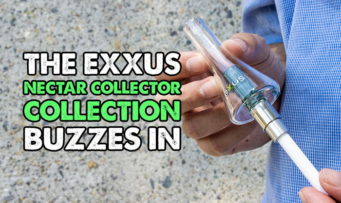 Exxus Insider Spotlight: The Exxus Nectar Collector Collection Buzzes In