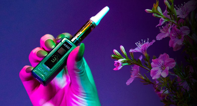 Woman's hand holding Exxus Rec near spring flowers 