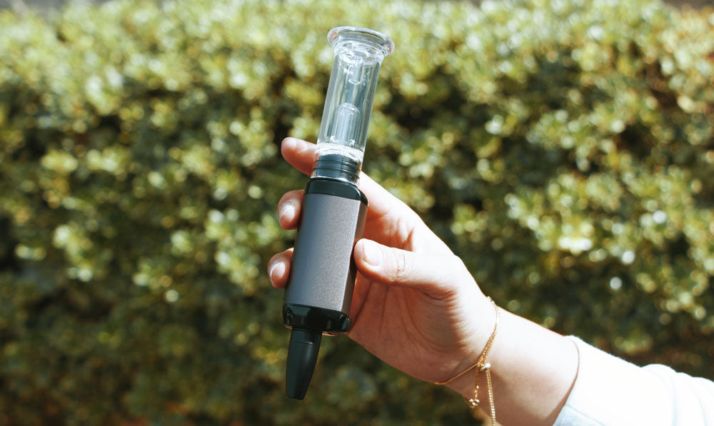 Exxus VRS 3 in 1 in Person's Hands in front of Tree Bush