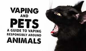 Vaping and Pets: A Guide to Vaping Responsibly Around Animals