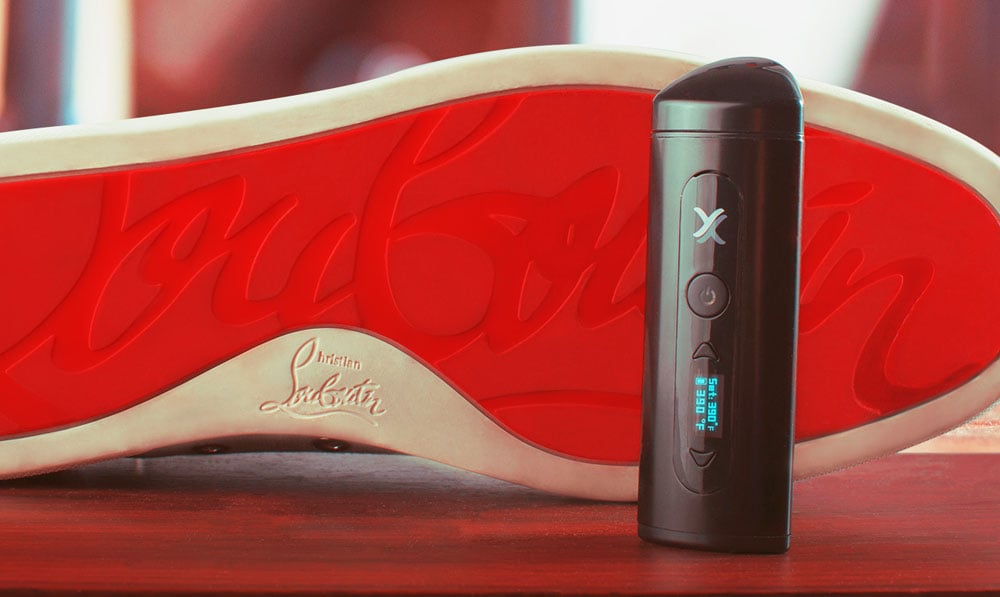 Exxus Mini standing near shoe