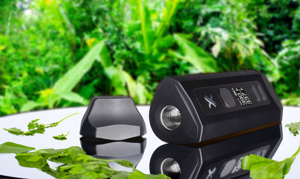 Exxus Mini Plus in jungle clearing on display platform with herbs near