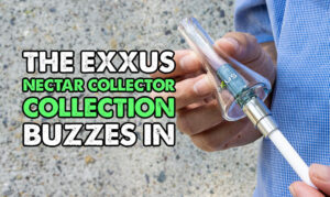 Exxus Insider Spotlight: The Exxus Nectar Collector Collection Buzzes In