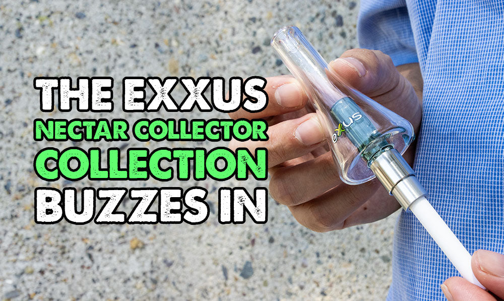 Exxus Insider Spotlight: The Exxus Nectar Collector Collection Buzzes In