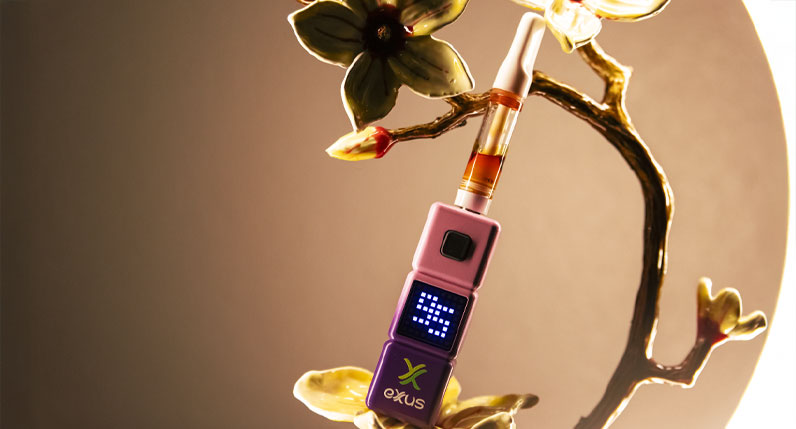 Exxus Stax 510 thread battery standing beside a gold ornament