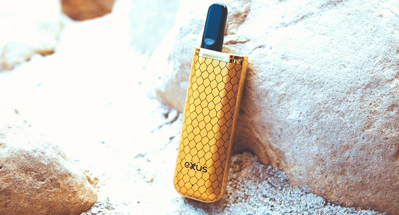 Gold cobra Exxus Minovo on rock