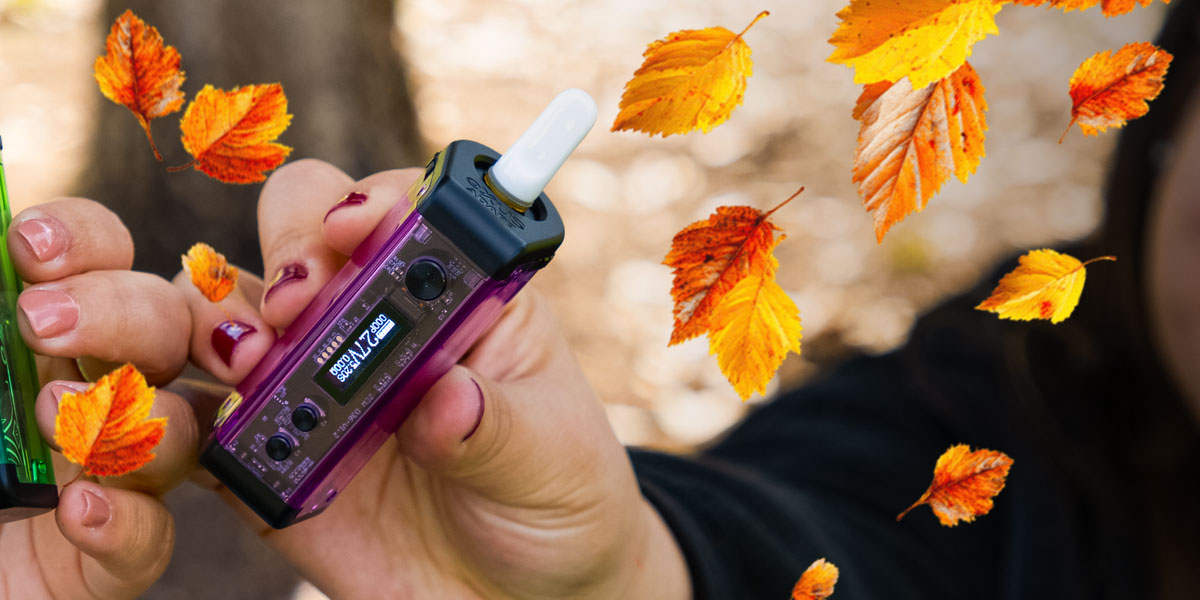 Fall Sale 15% off With Exxus Adapt